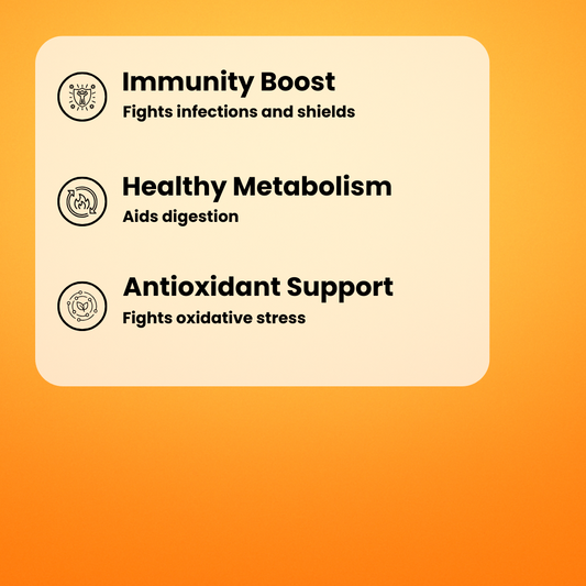 Immunity Booster Combo By Maskow Nutrition